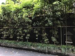 -杭州西湖艺联君亭酒店(黄龙体育中心地铁口店)