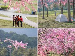-风云岭森林公园