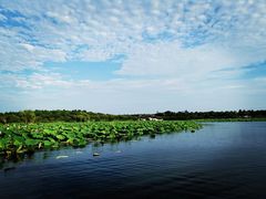 -上海海湾国家森林公园