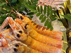 -Mr.Fish鱼鲜生海鲜放题(高德置地冬广场店)