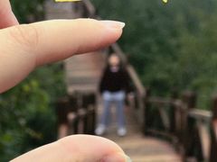 -大岭沟猕猴桃谷风景区