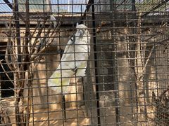 -石家庄市动物园