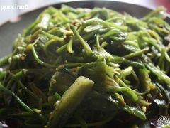200-苍洱春饭店