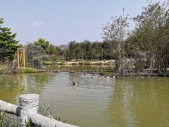 -天适樱花悠乐园