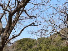 -宝岩生态观光园