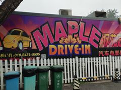 -枫花园汽车电影院(朝阳公园店)
