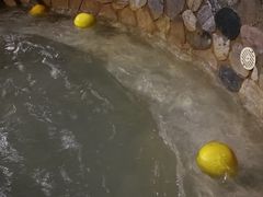 游乐设施-南宫温泉水世界