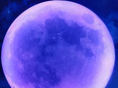 -天津梵高星空艺术馆(天河城旗舰店)