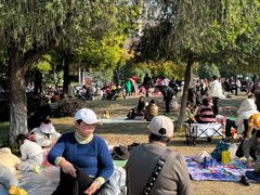 -沙河三洞古桥公园
