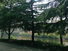 -日照海滨国家森林公园