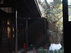 -八大山人梅湖景区