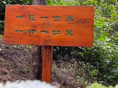 -寂照庵