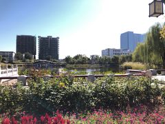 -西海子公园