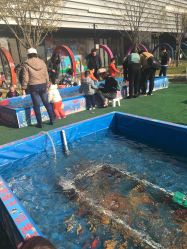 -萌宠亲子动物乐园(槐房万达店)