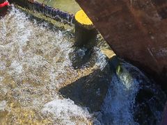 -安吉龙王山峡谷漂流