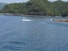 -千岛湖东南湖区