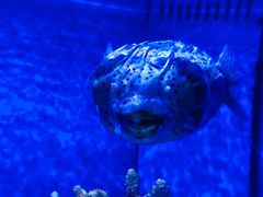 -多彩贵州城极地海洋世界