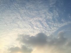 -新时代家居生活广场(古墩店)