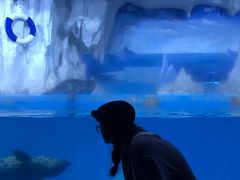 -多彩贵州城极地海洋世界
