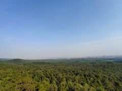 -紫金山天文台