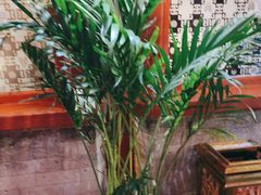 -阿西娅食府(中关村店)