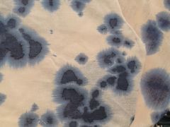 -索菲特酒店·海鲜自助 ·聚餐厅