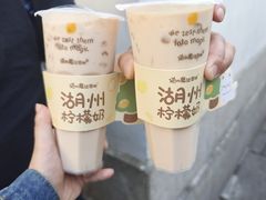 -猫的魔法密林(衣裳街店)