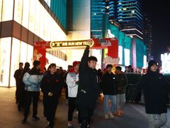 -金茂览秀城