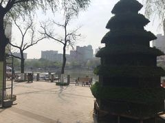 -文瀛公园