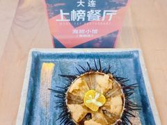 -海胆小馆(东北水饺·春柳店)