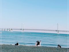 -星海湾跨海大桥