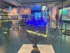 -上海中国航海博物馆