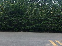 -南京市江宁方山