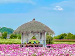 -径山花海