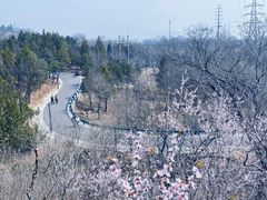 -白水寺森林公园