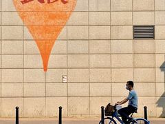 -循礼门鲜花花市(武汉循礼门店)