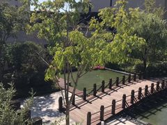 -上海崇明金茂凯悦酒店