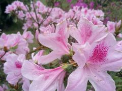 -晓港公园