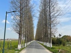 -嘉北郊野公园