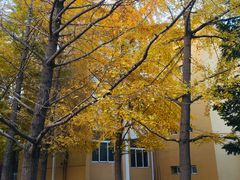 -辽宁大学(崇山校区)
