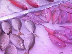 -抱德·潮汕味(敦和店原惠城鱼仔)