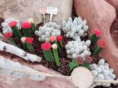 -南通洲际绿博园