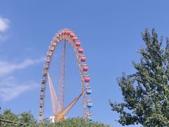 -石家庄市动物园