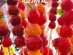 -遇见世外桃源教育农场