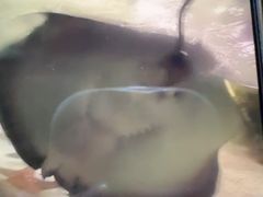 -嘉兴海底世界