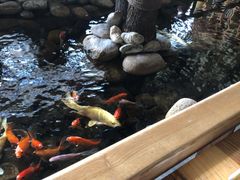 -山有花啡餐厅(常营总店)