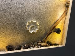 -浙C老邻舍(西城海错店)