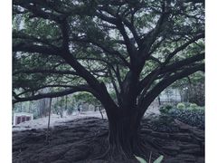 -晓港公园
