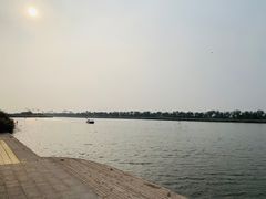 -南大港湿地风景区