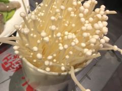 -川西坝子(老军营店)